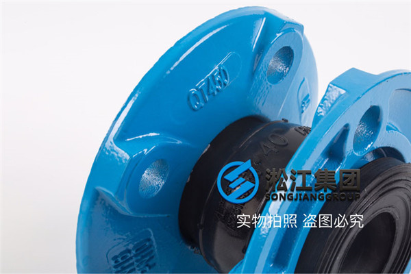 沈陽循環(huán)水泵出口使用DN50橡膠避震喉