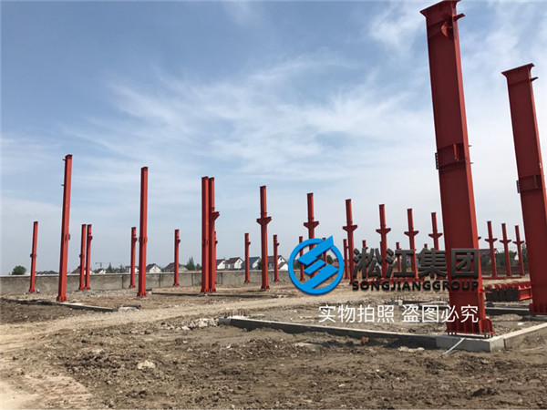 沈陽循環(huán)水泵出口使用DN50橡膠避震喉