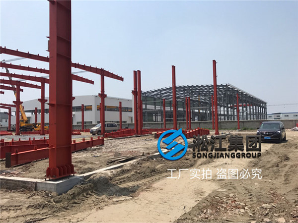 沈陽循環(huán)水泵出口使用DN50橡膠避震喉