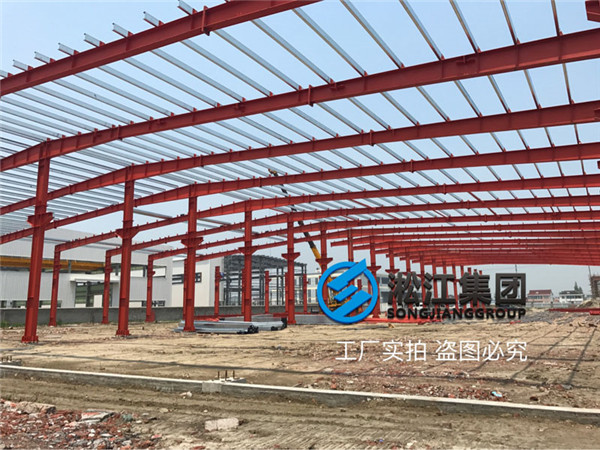 沈陽循環(huán)水泵出口使用DN50橡膠避震喉